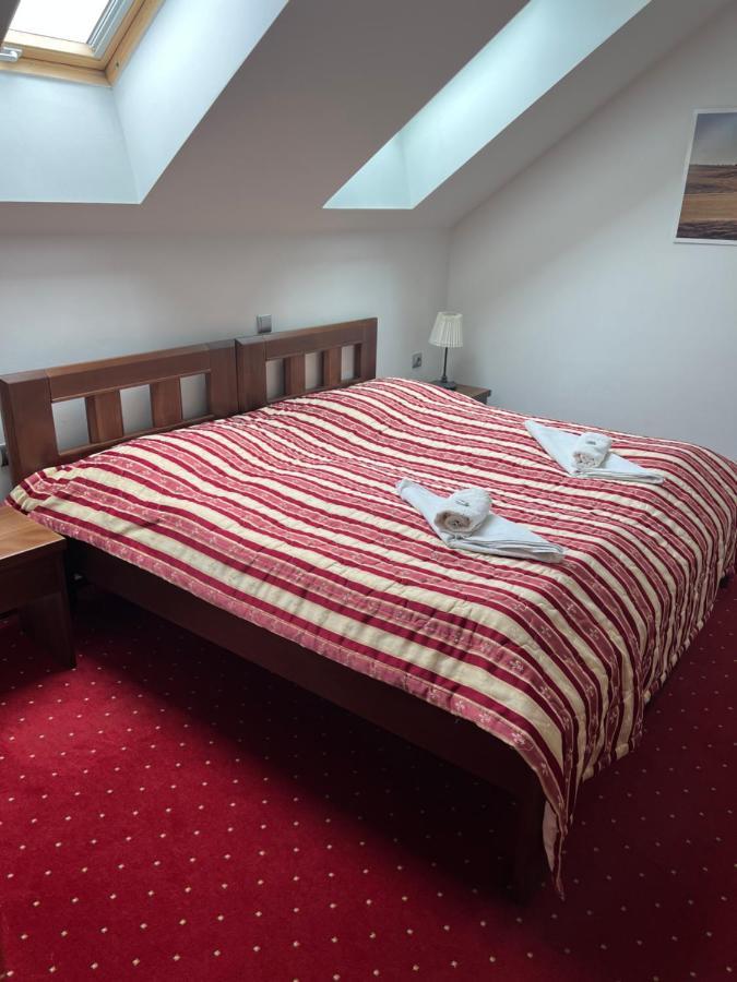 Hotel Krusnohorsky Dvur Cínovec エクステリア 写真
