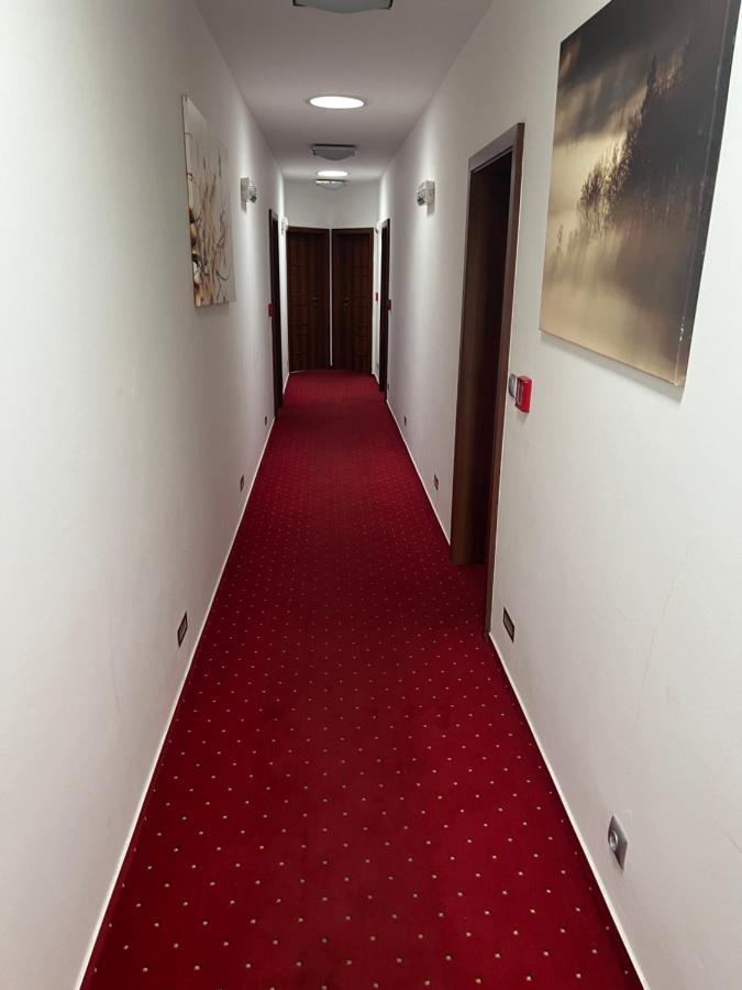 Hotel Krusnohorsky Dvur Cínovec エクステリア 写真