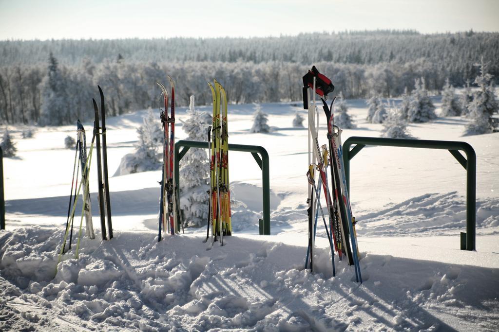 Hotel Krusnohorsky Dvur Cínovec エクステリア 写真