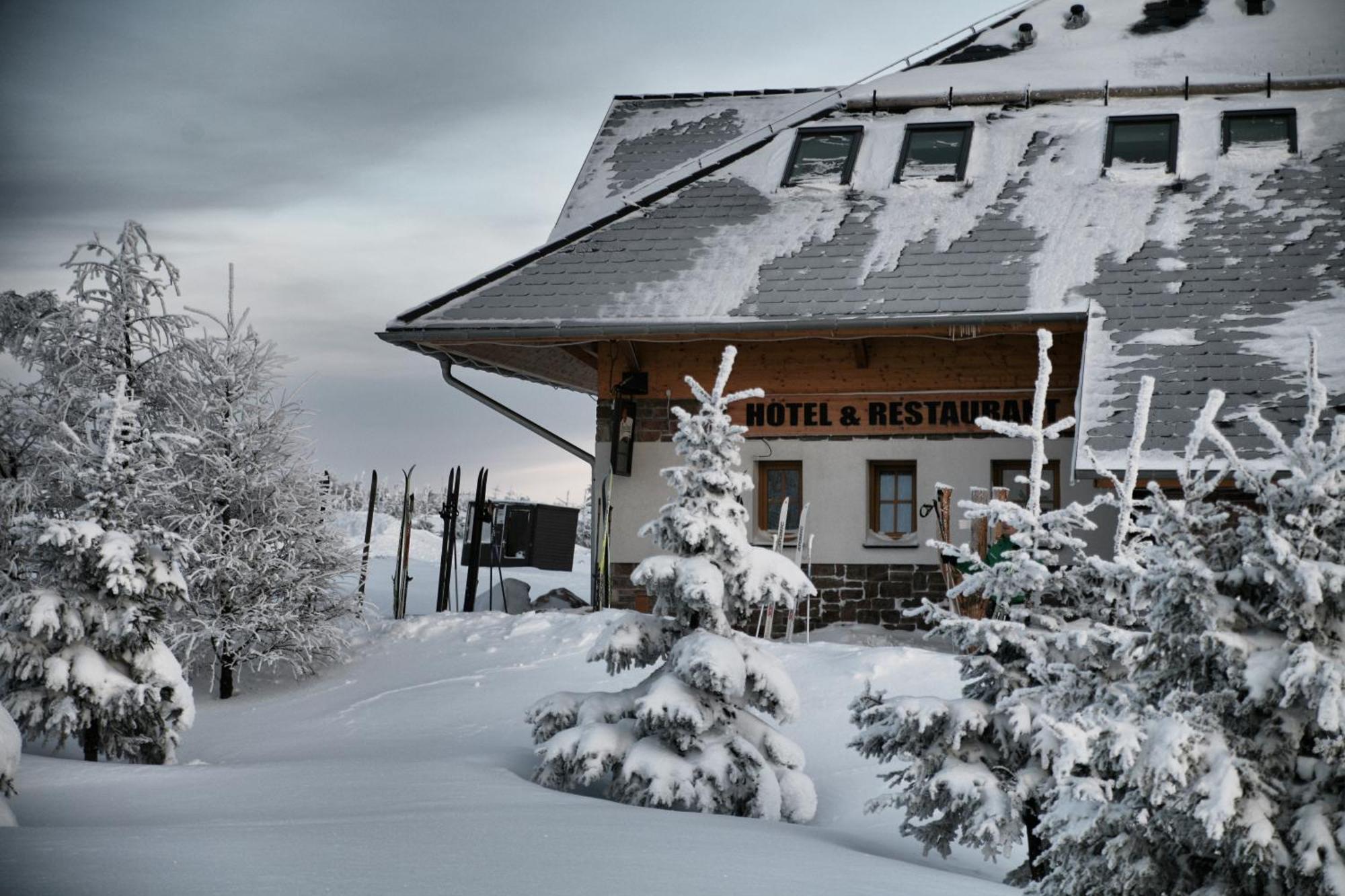Hotel Krusnohorsky Dvur Cínovec エクステリア 写真