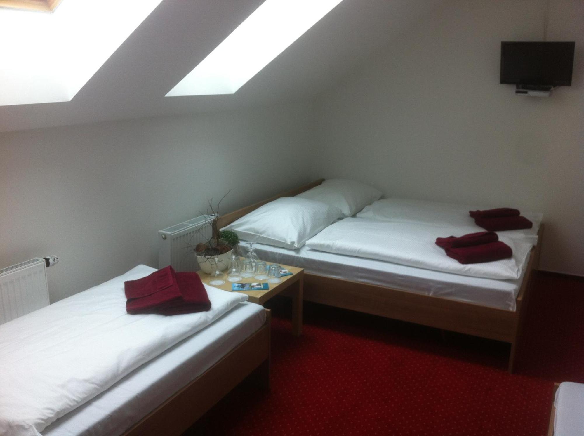 Hotel Krusnohorsky Dvur Cínovec エクステリア 写真
