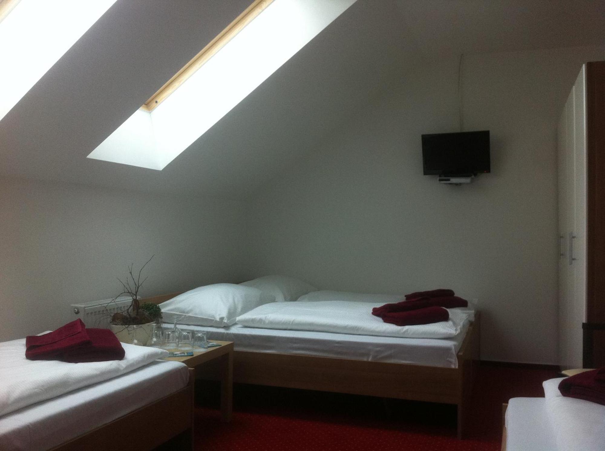 Hotel Krusnohorsky Dvur Cínovec エクステリア 写真