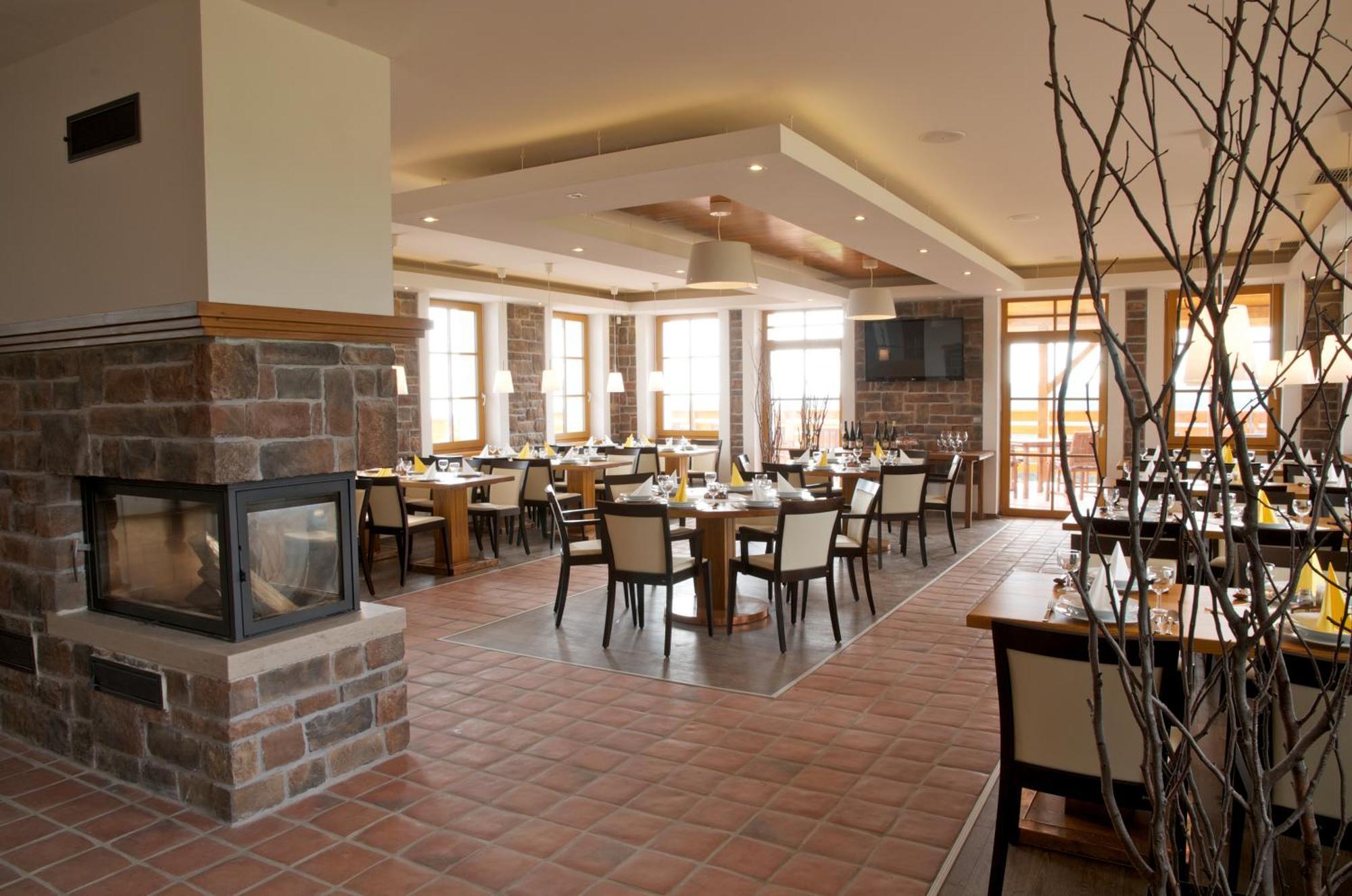 Hotel Krusnohorsky Dvur Cínovec エクステリア 写真