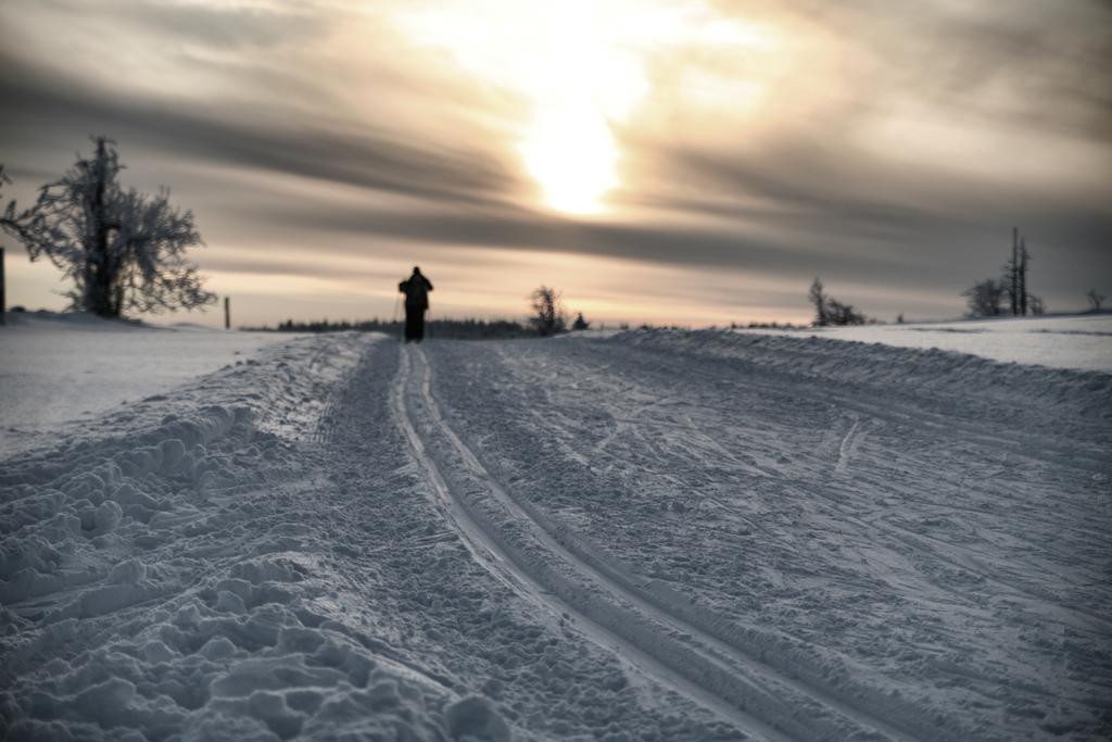 Hotel Krusnohorsky Dvur Cínovec エクステリア 写真