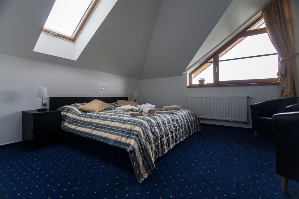 Hotel Krusnohorsky Dvur Cínovec 部屋 写真