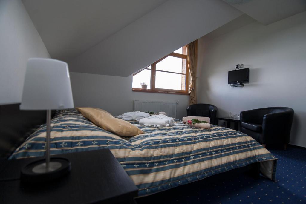 Hotel Krusnohorsky Dvur Cínovec 部屋 写真