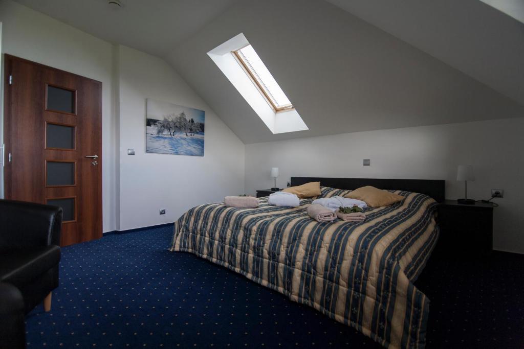 Hotel Krusnohorsky Dvur Cínovec 部屋 写真