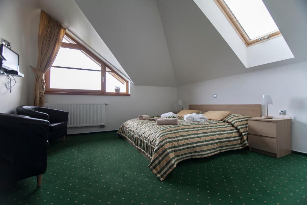 Hotel Krusnohorsky Dvur Cínovec 部屋 写真
