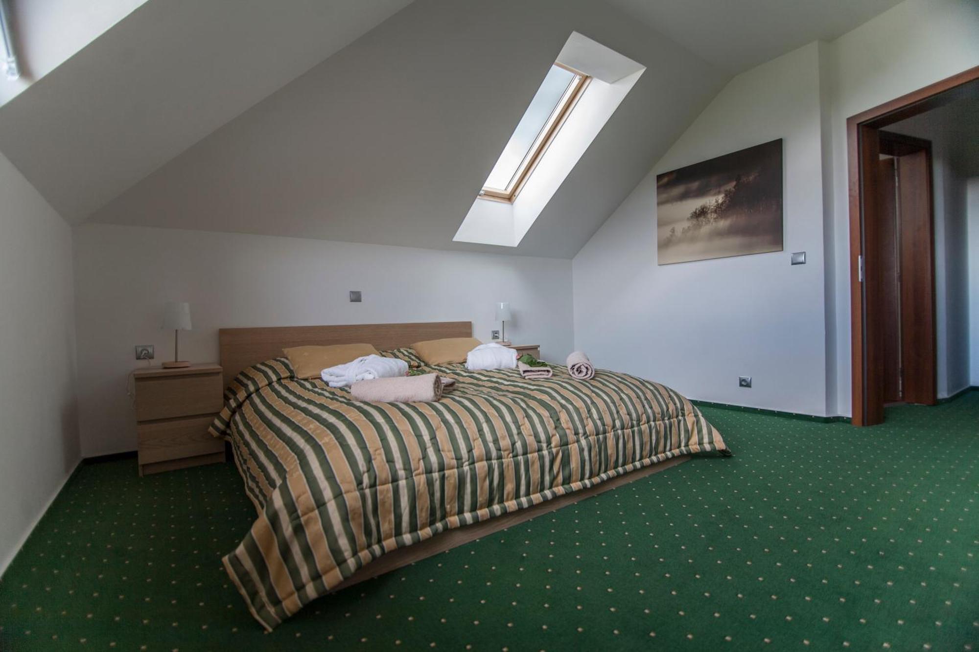 Hotel Krusnohorsky Dvur Cínovec エクステリア 写真