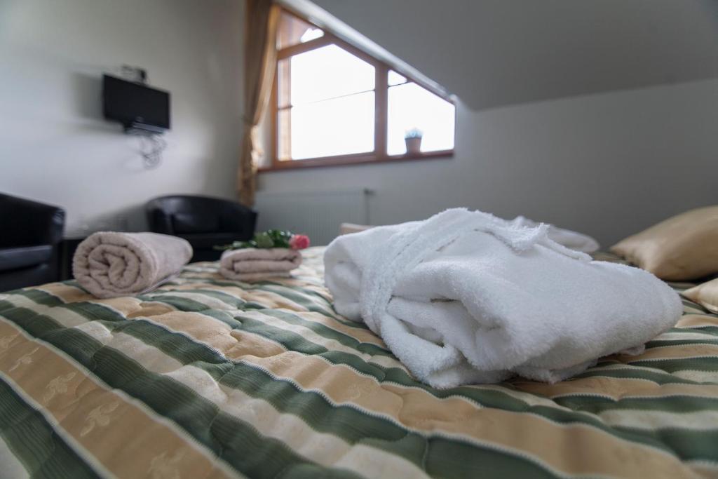 Hotel Krusnohorsky Dvur Cínovec 部屋 写真