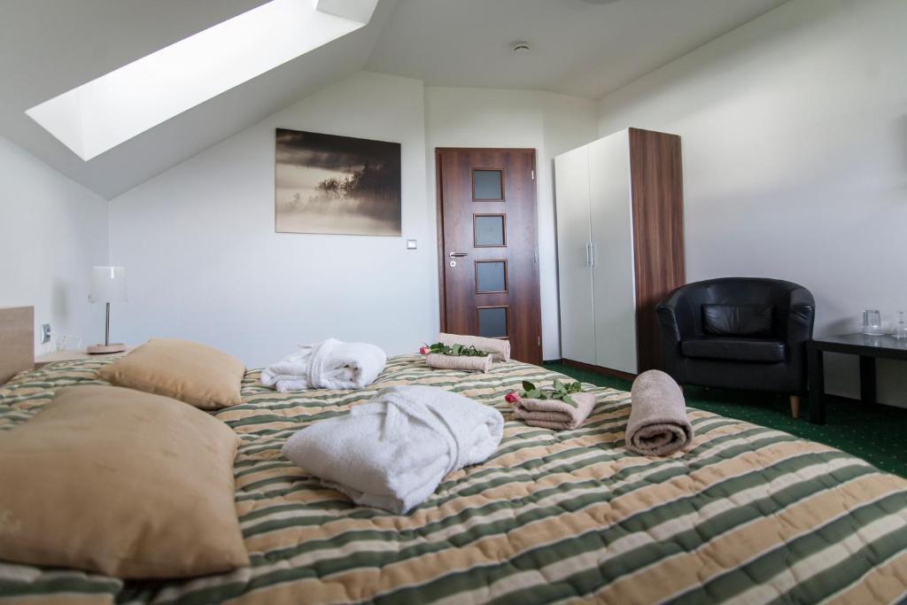 Hotel Krusnohorsky Dvur Cínovec 部屋 写真