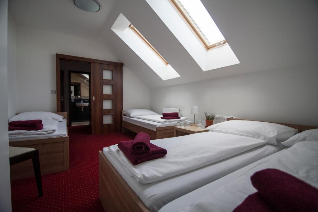 Hotel Krusnohorsky Dvur Cínovec 部屋 写真