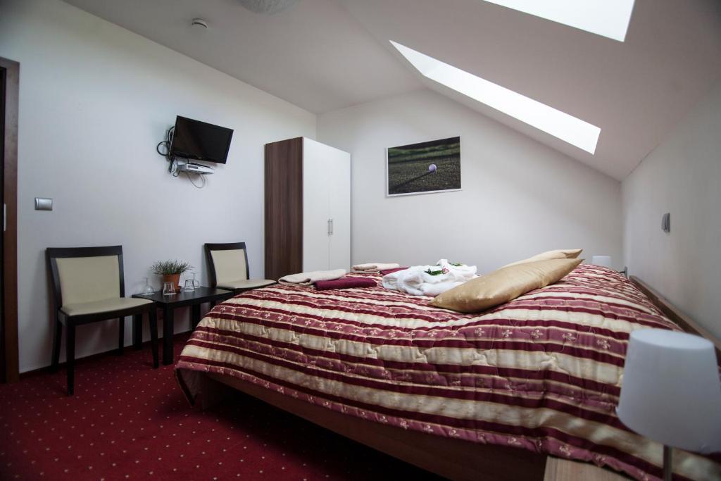 Hotel Krusnohorsky Dvur Cínovec 部屋 写真