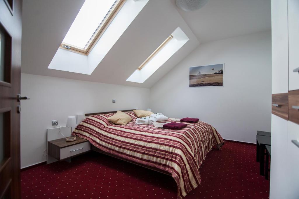 Hotel Krusnohorsky Dvur Cínovec 部屋 写真